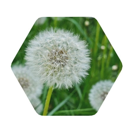 

Salouo Dandelion Flower In The Meadow Print Round Coaster Drink Coasters Leather Bar Beer Beverage Coasters for Drinks Set of 4 for Tabletop Protection Coffee Table Decor