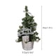 thumbnail image 4 of XWSHYW Aparatos de Utensilios de Cocina. Mini Árboles de Navidad Artificiales, Decoración de Escritorio de Navidad, Juego de Árboles de Navidad de Mesa, para Decoraciones de Mesa Navideñas, 4 of 7