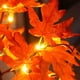 thumbnail image 3 of Lámpara Acción Gracias Con Sincronización Nocturna Hoja Arce 24 LED (iluminación 6H), 3 of 7