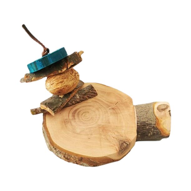 Bird Cage Perch Natural Wood Perches for Birds Playground Cage Round Accessories for Small