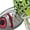 Chartreuse Glimmer, variant on BOOYAH Super Shad Fishing Lure Spinnerbait Four Blade Chartreuse Pearl Shiner 3/8 oz
