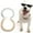 Multicolor, variant on GASTROPOD Dog Chain Collars,Vivid Multicolor Options Dog Choker Collar,Enhanced Night Visibility No Pull Dog Collar,Dustproof Waterproof Construction Pet Punk Choke Collar,