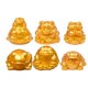 thumbnail image 5 of Here's a refined and creative product description for your **6pcs Resin Toad Statues Creative Gold Toad Figurines**:\n\n \n\n✨ **6 Pack Resin Toad, 5 of 5