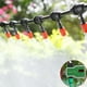 thumbnail image 3 of Dispositivo de control de riego de jardín con pantalla LCD Riego automático de ahorro de agua, 3 of 8