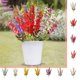 thumbnail image 1 of Ramo de Flor de Gloria de la Mañana Artificial | Rociador Floral Multicolor Realista de Plástico | Decoración para Hogar, Jardín, Exterior y Fiestas | Follaje Verde de Aspecto Natural | 1 Unidad, 1 of 6