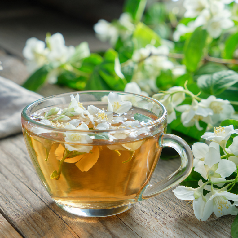 100本詰めちゃいました！ Tradition Jasmine Green Tea, 100 Individual Tea Bags, Low Caffeine