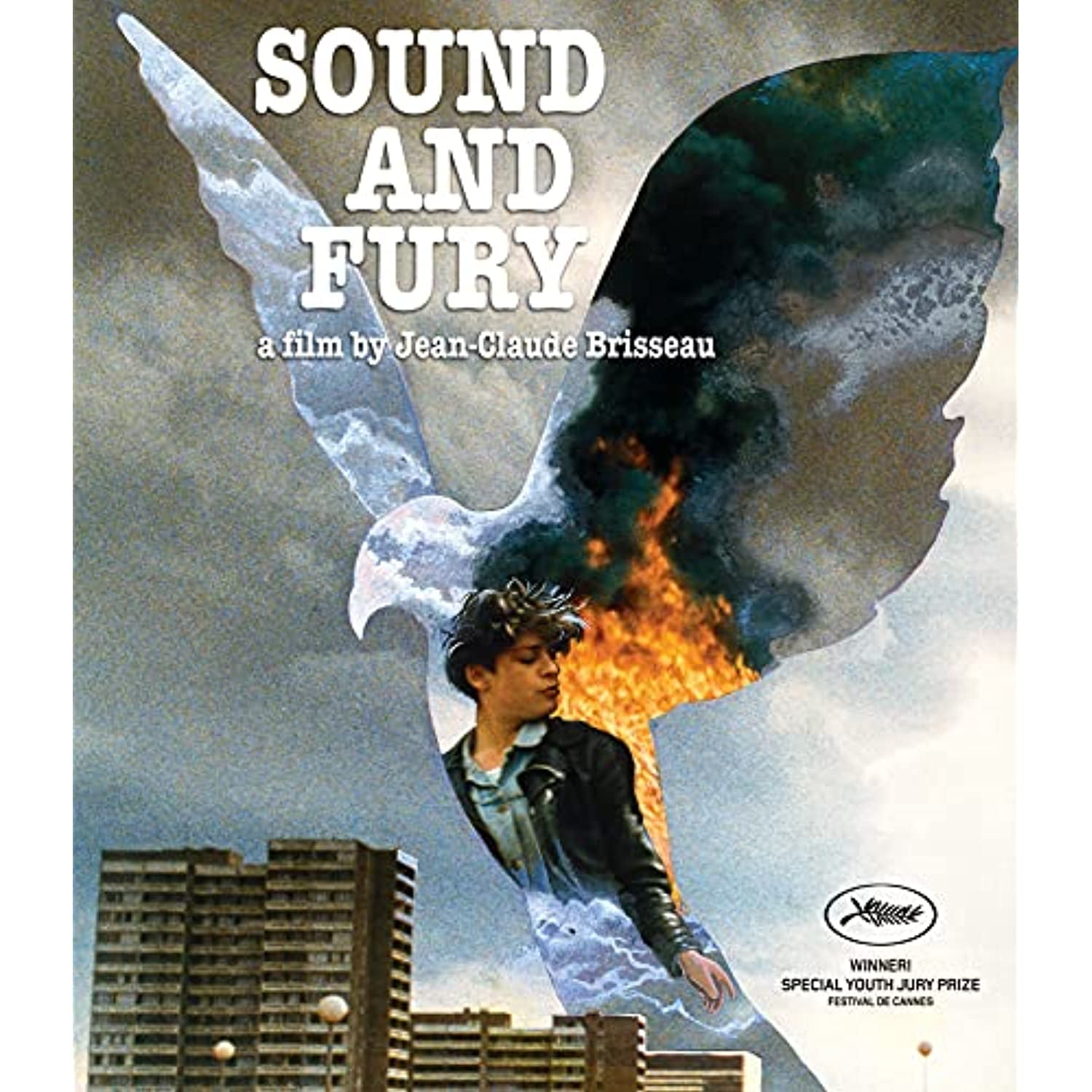 sound and fury film