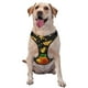 thumbnail image 1 of Fotbe Tangerine Arnés para Perro con Estampado –Chaleco Ajustable Acolchado con Asa de Control para Perros Grandes-Large, 1 of 6