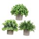 thumbnail image 4 of 3 piezas de pequeñas plantas falsas, plantas artificiales en maceta, plantas decorativas de imitación en maceta para estante de oficina, decoración de Estilo I, 4 of 8