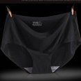 thumbnail image 4 of 【Wetrose】bragas de seda de hielo frescas sin costuras de una pieza para mujer/pantaletas sexy para mujer/pantaletas para chicaspangjing, 4 of 4