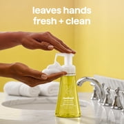 method Foaming Hand Wash, Lemon Mint- Leaves Hands Feeling Soft & Clean, for Bathroom & Kitchen, Made without Parabens, 10 fl oz