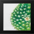 thumbnail image 2 of Atelier B Art Studio 20x20 Black Modern Framed Museum Art Print Titled - Watercolor Mini Cactus, 2 of 5