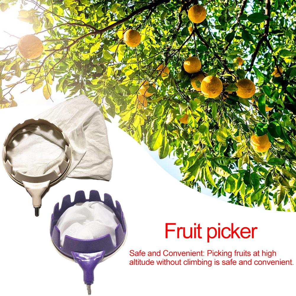16cm Fruit Harvester Fruit Picker Pole Tool Fruit Picking Equipment for Getting Fruits Lemons Apples Guavas Avocados Pears Mangoes Oranges Citrus MEROURII Fruit Picker 16cm Fruit Harvester Fruit Picker Pole Tool Fruit Picking Equipment for Getting Fruits Lemons Apples Guavas Avocados Pears Mangoes Oranges Citrus MEROURII Fruit Picker