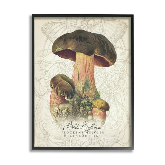 Stupell Industries Vintage German Nature Mushroom Botanical & Floral Painting Black Framed Art Print Wall Art
