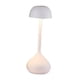 thumbnail image 2 of Lámpara de mesa, lámpara de escritorio de metal, luz de noche recargable por USB, lámpara de noche para exteriores, restaurante, patio, comedor, sala Blanco, 2 of 9