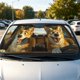 thumbnail image 4 of Car Windshield Sunshade Foldable Sunshade For Sun Protection And Heat Insulation, 4 of 6