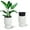 White, variant on Self Watering Planters Set of 2, 14.2 Inch Tall Outdoor/Indoor Flower Pots with Water Level Indicator, Large Modern Planter with Hidden Reservoir for Patio, Porch, Balcony, White