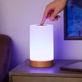 NBG Friendship LED Color Changing Table Lamp with AC Cord, Touch