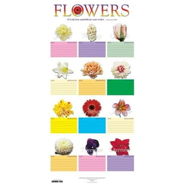 Abingdon Press 241699 15 x 31 in. Tube Mylar Flower Chart