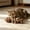 A002- Style B, variant on Cat Catnip Mint Fish Bone Chew Toys, Natural Wood Kitten Dental Care Chews, 3 Pack Interactive Teeth Cleaning Treats for Indoor Cats Kittens Kitty Relieve Anxiety Boredom Stress Relief Pet Supplies