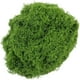 thumbnail image 2 of Simulated Moss Artificial Moss Green Plants Decorative Landscaping Potted Grass Pavement DIY Filamentous False Moss, 2 of 8