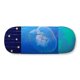 thumbnail image 1 of Jellyfish Ocean Blue Water Science Nature Hard Shell Eyeglasses Glass Case Star Sky, 1 of 1