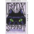 thumbnail image 2 of Disney Hocus Pocus - Binx, 2 of 4