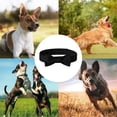 thumbnail image 5 of Collares y correas para perros: 12 correas sólidas y suaves y collares de pajarita ajustables MFZFUKR CPB-US-YY660-6, 5 of 5