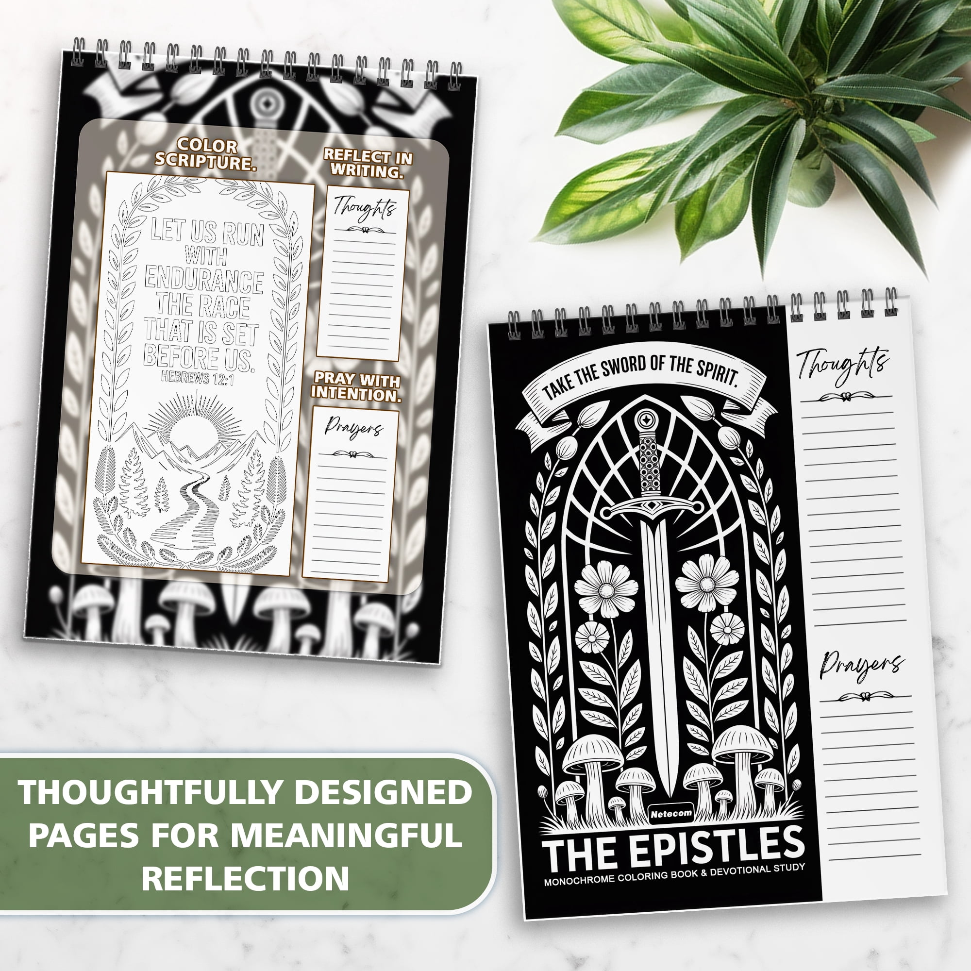 The Epistles Monochrome Coloring Book for Adults, 30 Minimalist Scripture Art Pages with Reflection & Prayer Space, Spiral Bound, A4 or A5 Softcover or Wood Cover
