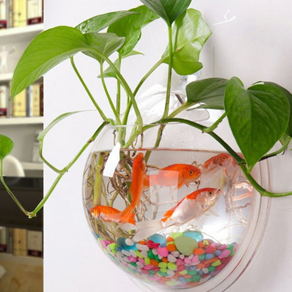 FRCOLOR  Acrylic Fish Tank Wall-mounted Plant Pot Hanging Bowl Transparent