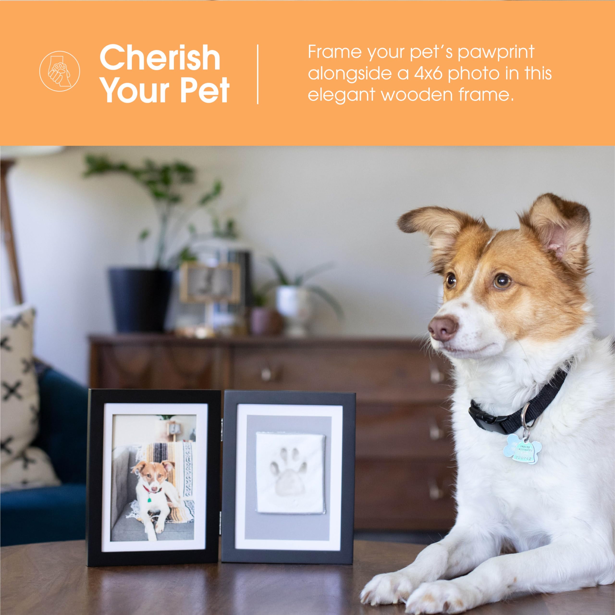 PETT Pet paw print frame with clay print kit and photo display