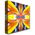 thumbnail image 2 of Trademark Global Amy Vangsgard "Paradise" Canvas Art 18" x 18" (AV0015-C1818GG), 2 of 2