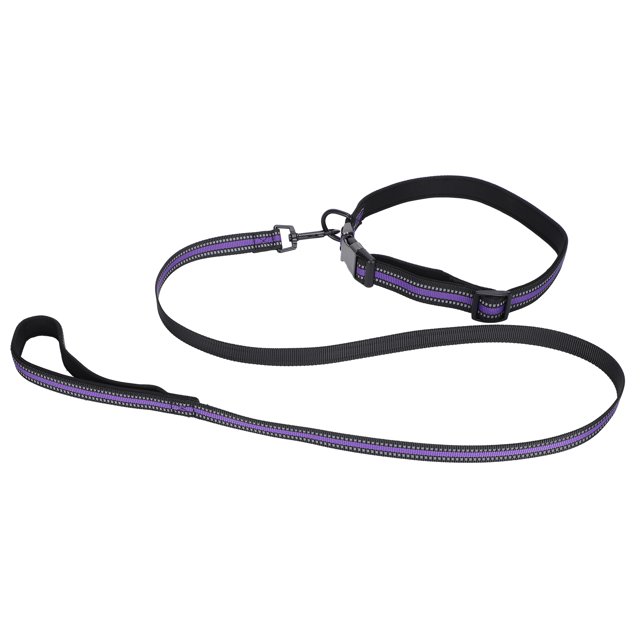 Conjunto de collar para mascotas Correa de perro ajustable reflectante Seguridad cómoda Suministros para mascotas Conjunto de collar y correa de perro reflectante Morado ANGGREK Otros