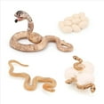 thumbnail image 2 of 8X Modelo BiolóGico del de Crecimiento de Animal Realista Juguetes Modelo BiolóGico de Crecimiento de la Serpiente de Crecimiento de la Cobra, 2 of 5
