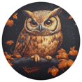 thumbnail image 3 of Ryvnso Owl in Fall Round Plate Mats Dining Table Placemat Set of 4 for Holiday Decoration, 3 of 7