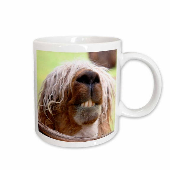 3drose, Peru. Suri Alpaca Wildlife, Awana Kancha - Sa17 Kwi0101 - Kymri Wilt, 15oz Mug
