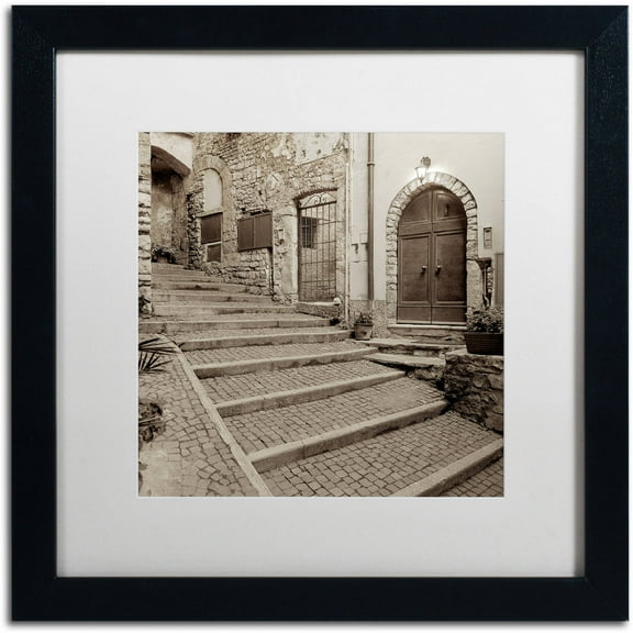 Trademark Fine Art "Lombardy I" Canvas Art by Alan Blaustein, White Matte, Black Frame