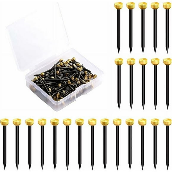 Jinsinto 60 Pieces Small Hanging Nails, Picture Nails Flat Head Picture Frame Fasteners Picture Frame Hangers for Woodworking and Hanging Picture Frames 25mm,