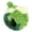 Green, variant on Rupoun Cozy Comfortable Lovely Appearance Warm Bird Cage Bed for Parakeet Green Small (6.3 x 5.5 x 4.7 inches / 16 x 14 x 12 cm)