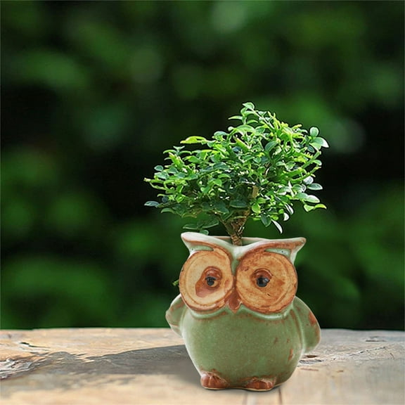 ZHANQUNE Owl Animal Planter Pot, Ceramic Owl Pot with Glaze Finish, Cute Small Container for Succulents, Flowers, and Home Decor, 3.5cm Mouth