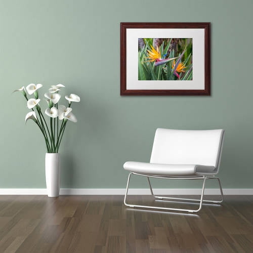 Trademark Fine Art 'Two Birds of Paradise' Canvas Art by Pierre Leclerc, White Matte, Wood Frame