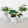 thumbnail image 4 of HLONK Potted Plants Live Self Watering Pots For Indoor Plants Pack 4.3 Inch Flower Pot Modern Decorative Plastic Planter With Extra Large Water Storage For All House Plants Flowers Herbs, 4 of 7