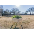 thumbnail image 4 of Zylina Raised Elevated Wood Planter Garden Bed Box Stand with 4 Way Divider for Backyard, Patio - Natural 20"(L) x 20"(W) x 20"(H), 4 of 8