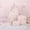 Pink, variant on Coquette Bow Backpack 3pcs Set,Cute Brown Bow Backpack for Women,Cute Kawaii Backpacks Set Large Capacity