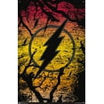 thumbnail image 4 of DC Comics - The Flash - Logo Wall Poster with Push Pins, 22.375" x 34", 4 of 6