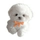 thumbnail image 4 of Toy de perro de felpa electrónica Interactivo interactivo Peligratoria Simulación de de la cola de paseos Realista para niñas para niñas Blanco, 4 of 9