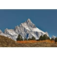 thumbnail image 2 of Jones, Adam 24x17 Gold Ornate Wood Framed with Double Matting Museum Art Print Titled - Aspen grove in front of Teton Range-Grand Teton National Park-Wyoming, 2 of 4