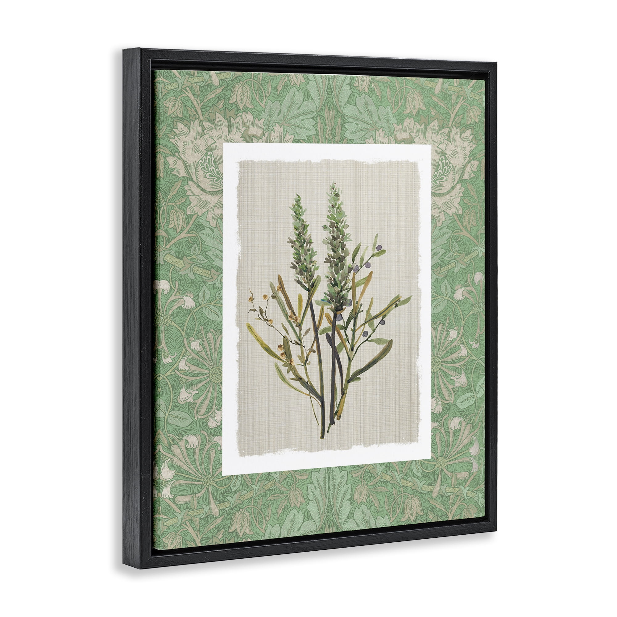 Stupell Industries Antique Foliage in Green Black Framed Floater Canvas Wall Art, design by Carol Robinson