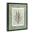 thumbnail image 2 of Stupell Industries Traditional Antique Foliage in Green Black Floating Frame Canvas Art, 25 x 31, by Carol Robinson, 2 of 8