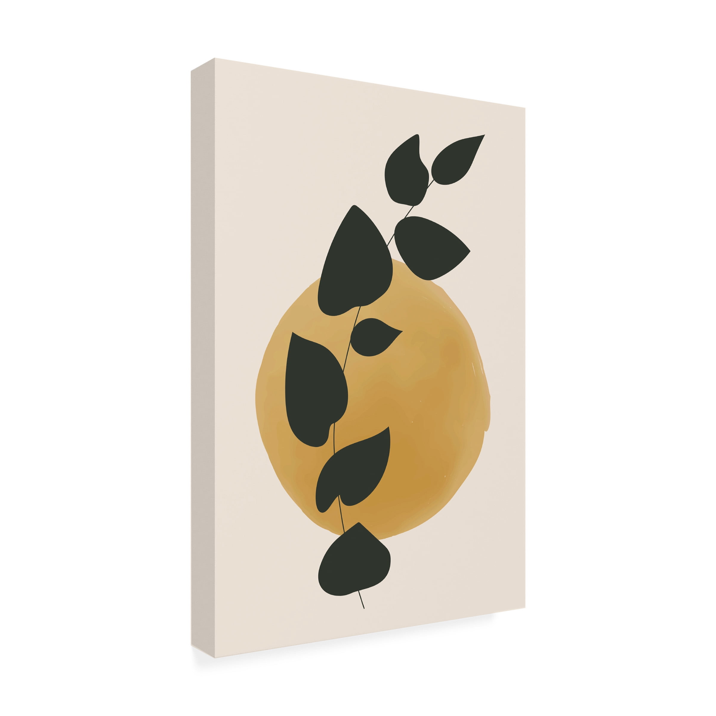 jay stanley 'Color Botanicals 3' Canvas Art